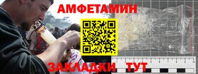 прущие грибы Лесосибирск