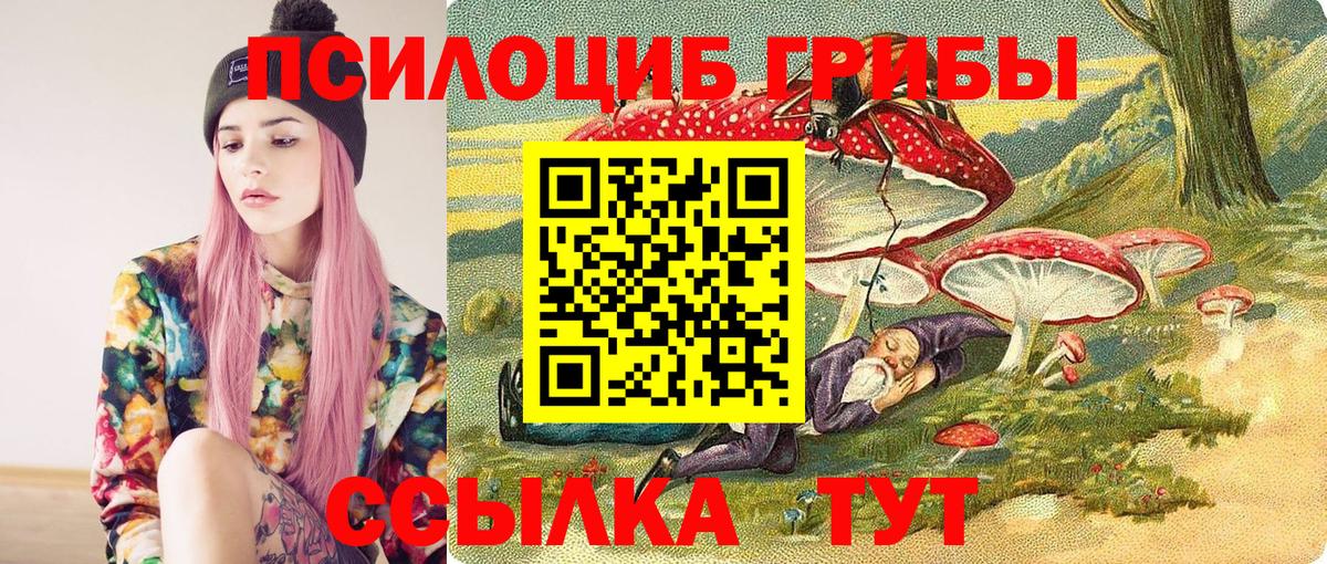 Псилоцибиновые грибы MAGIC MUSHROOMS Волжский