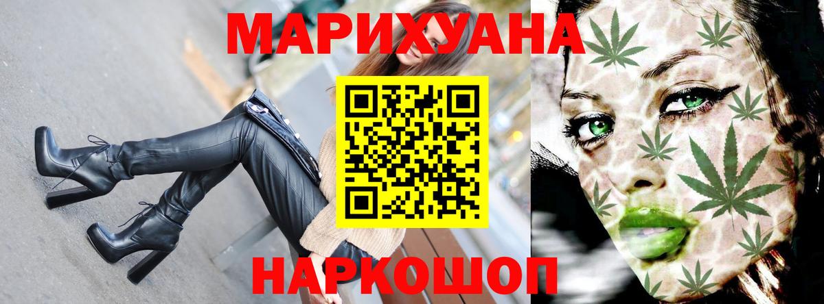 Канабис планчик Волжский